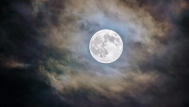 luna piena blu halloween
