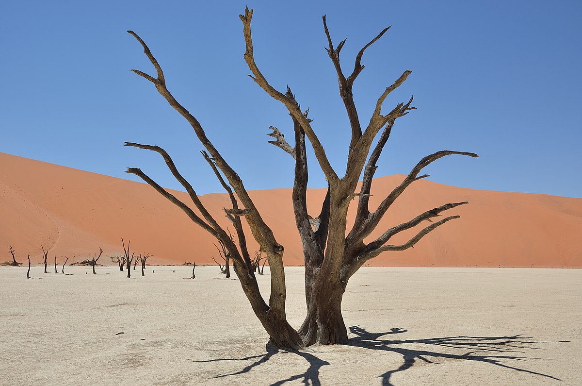 Deadvlei Namibia Credits Pavel Špindler.jpg